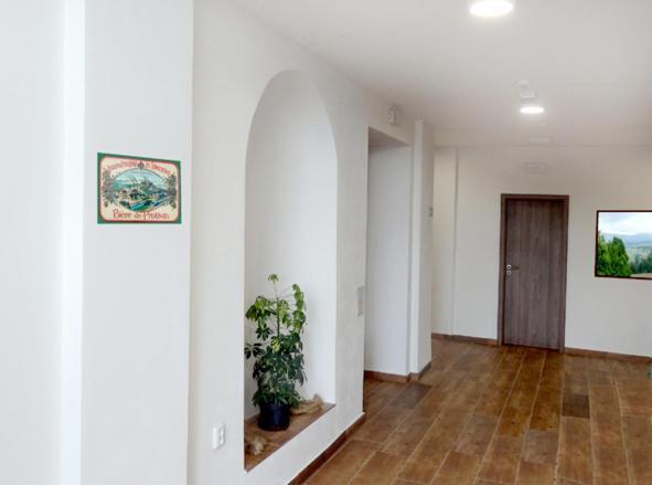 Penzion U Provaznika Zdikov Exterior photo